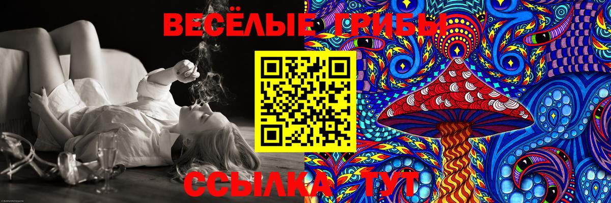 наркотики  Вход с VPN  Галлюциногенные грибы Magic Shrooms  Йошкар-Ола  Псилоцибиновые грибы Psilocybe 