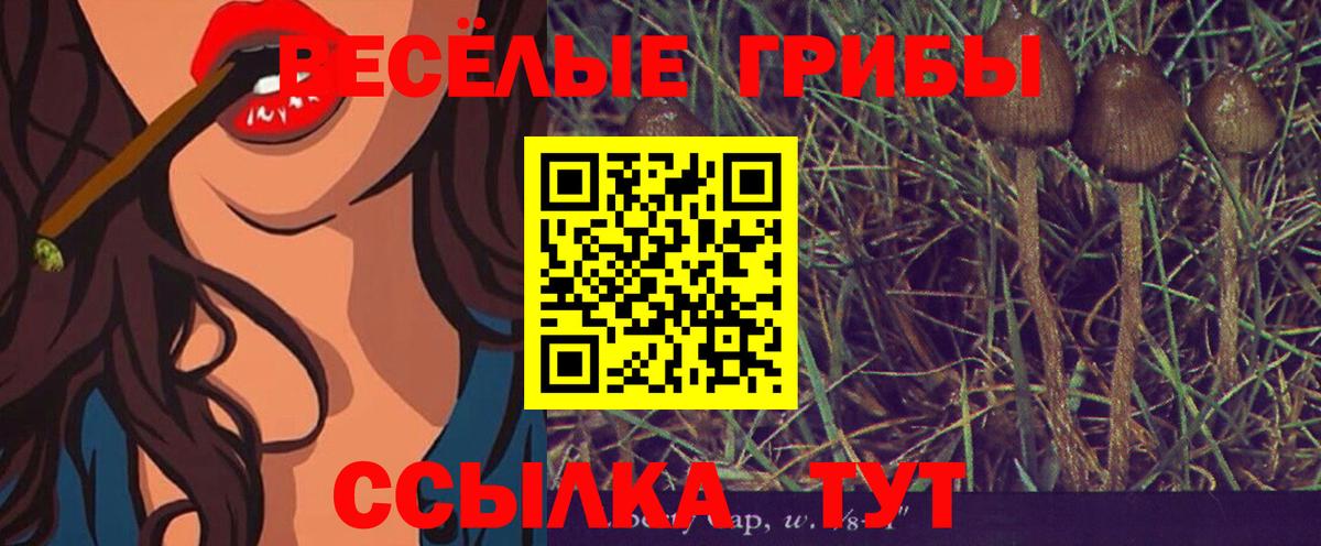 Псилоцибиновые грибы GOLDEN TEACHER Йошкар-Ола